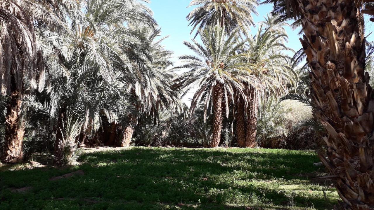 Riad Sarayas Tajda Ngoại thất bức ảnh